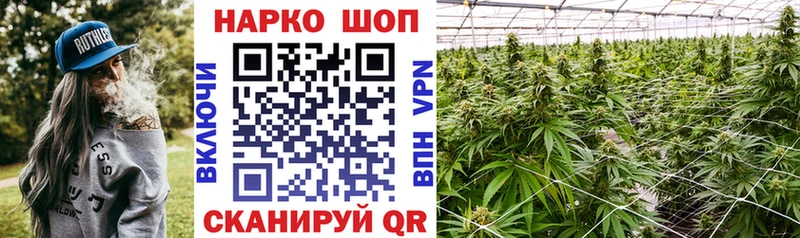 Цена Новошахтинск Псилоцибиновые грибы АМФ Меф мяу мяу Канабис Кокаин ГАШ