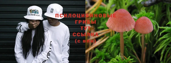 трава Нягань